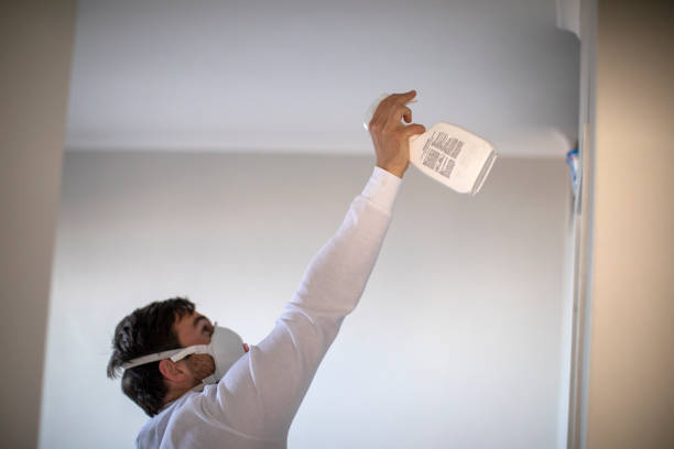 Best Crawl Space Mold Removal  in Wayland, IA