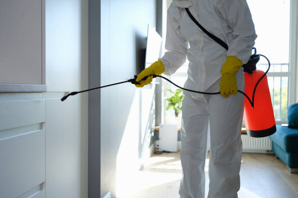 Best Toxic Mold Removal  in Wayland, IA