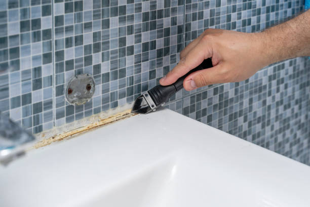 Best Fast Mold Removal  in Wayland, IA